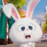 Avatar of Talal Nawaz